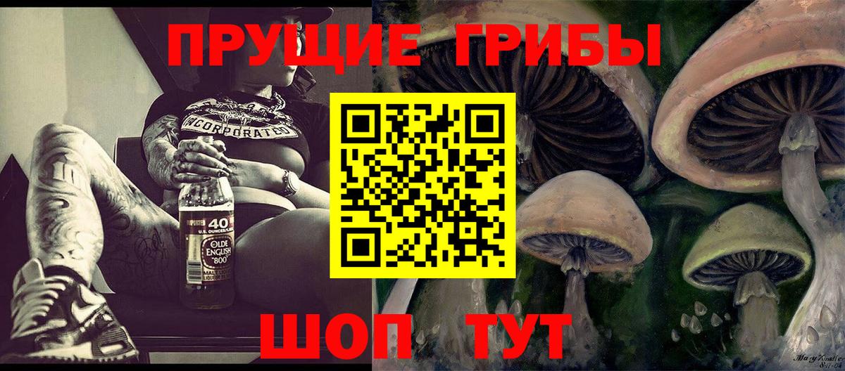 Владикавказ  где купить наркоту  Вход с VPN  Галлюциногенные грибы ЛСД 